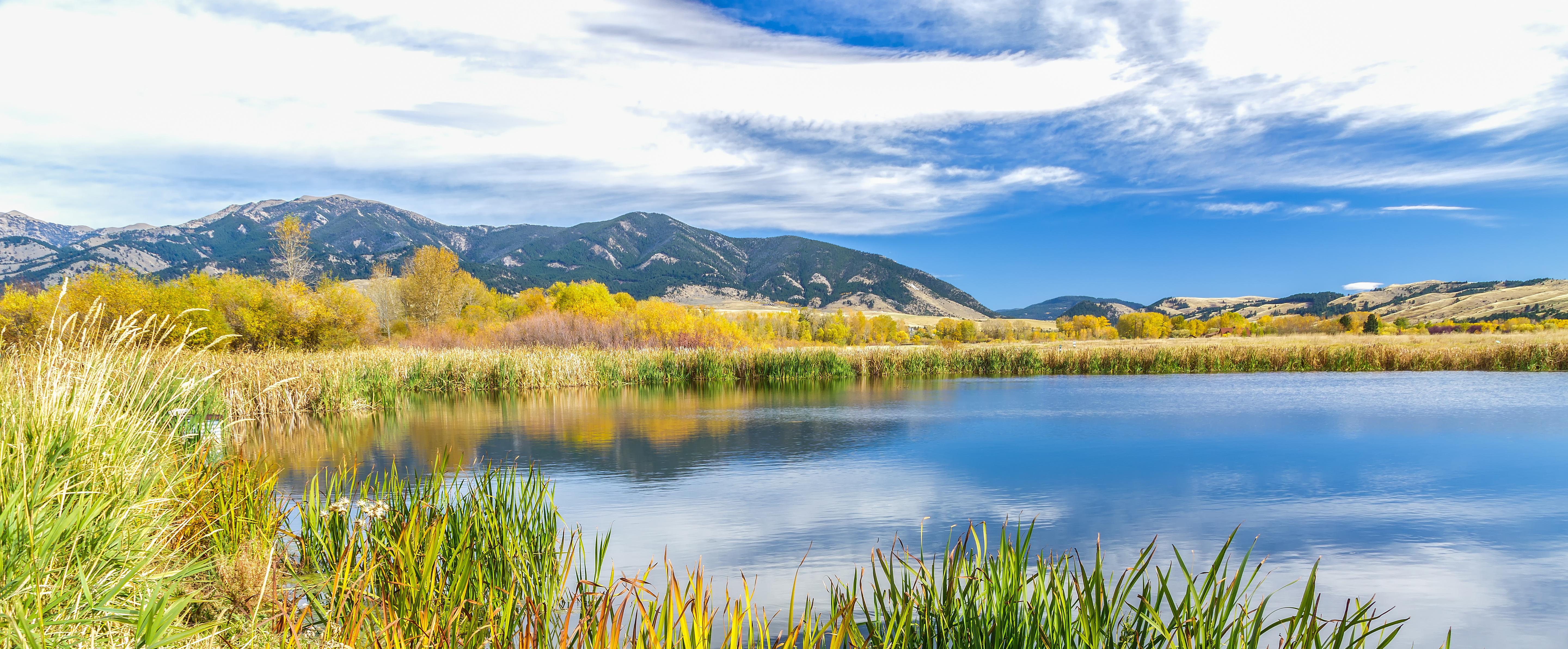 Fall Montana