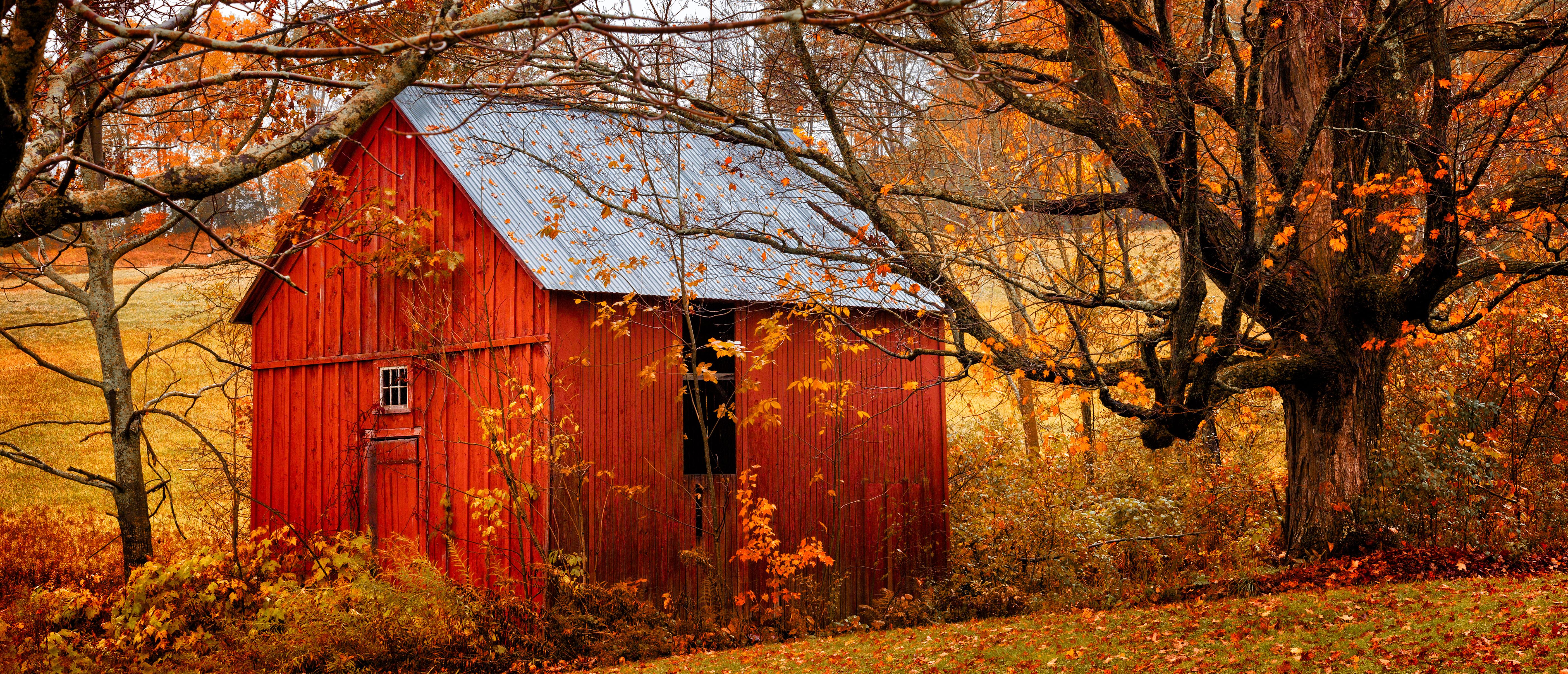 Fall Red Barn