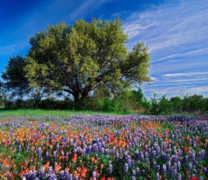 texas hill country